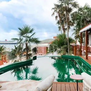 *** Hotel The Pink Palm - Adults Only United States Virgin Islands